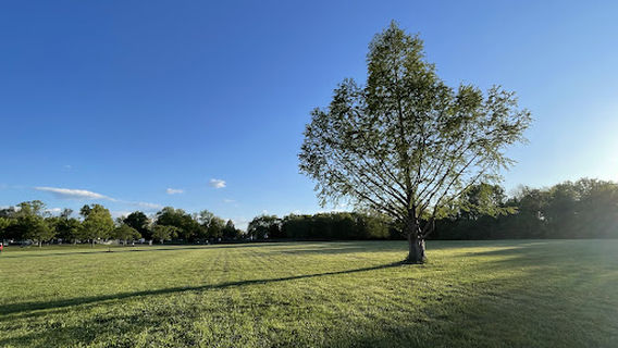 Montgomery Village