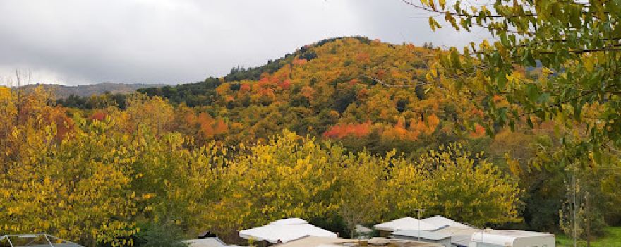 La Vall del Vidal