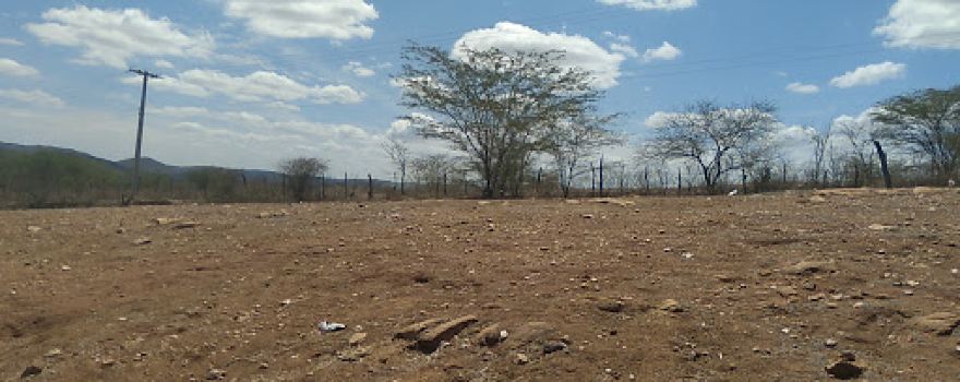 Parque e haras Maria salete