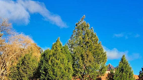 Museo monográfico de Tiermes. Filial del Museo Numantino.