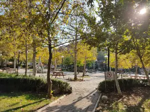 Karaisalı Piknik Alanı