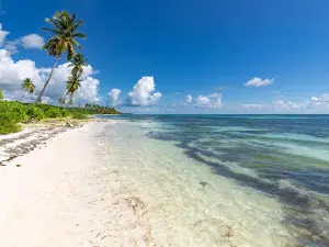 Cotubanamá National Park