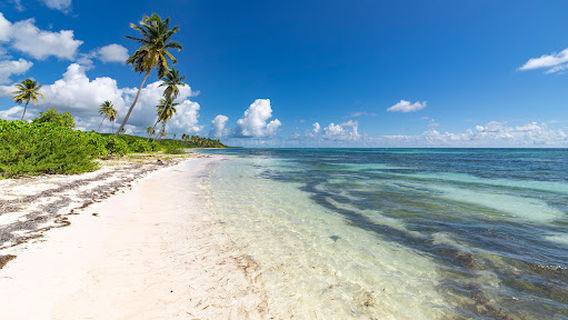 Cotubanamá National Park