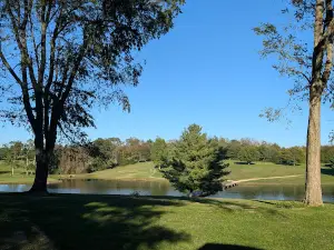 Laurel Oaks Golf Club