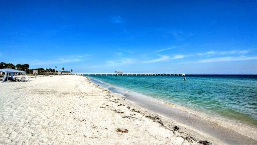 Fort De Soto Dog Park / Beach