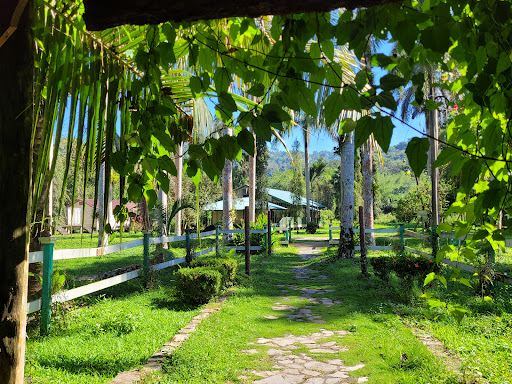 Lancetilla Botanical Garden