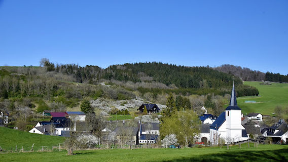 Rockeskyller Kopf