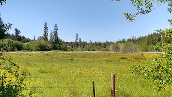 Silverdale Rotary Gateway Park