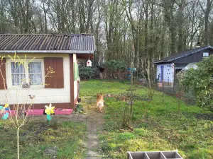 Kleingartenfreunde Seelze 1 e.V.