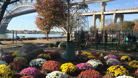 Collins Park Skatepark