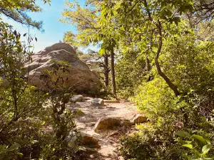 Dragons Tooth Trailhead
