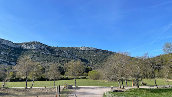 Park Pichauris