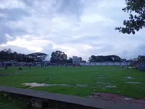 PDS field