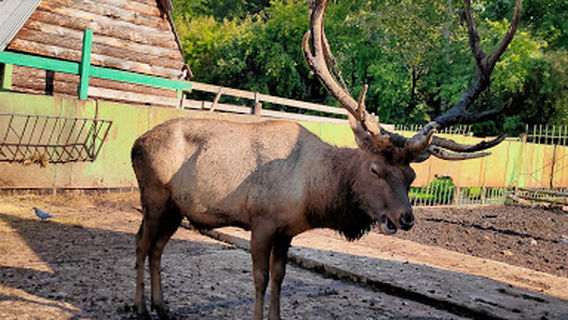 Bol'sherechenskiy Zoopark