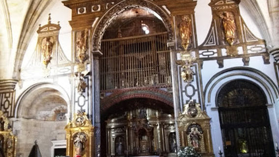 Playa de los Pelambres