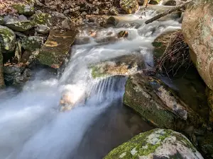 Sill Branch Falls