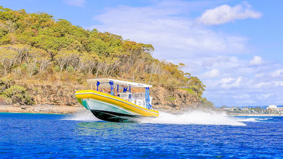 Noosa Whale & Dolphin Centre