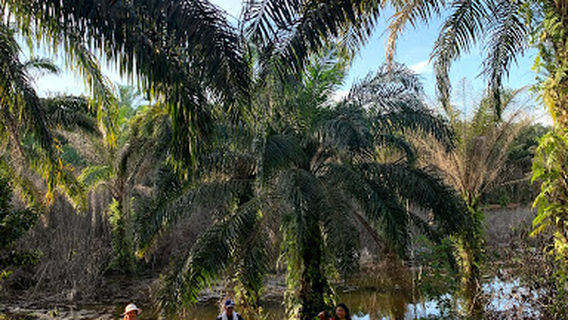 Posko Lancang Kuning Hash House Harriers (LKHHH)