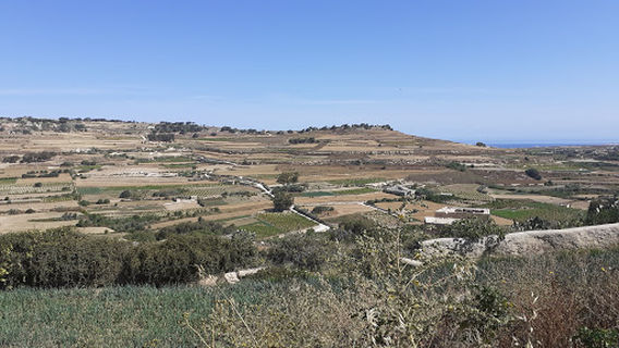 Swings at Misrah Buleben