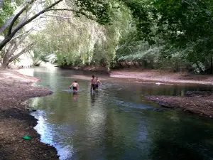 Camping Los Martínez