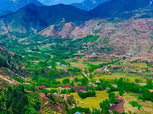 Shahi Top