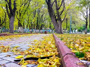Silvan Belediyesi Parkı