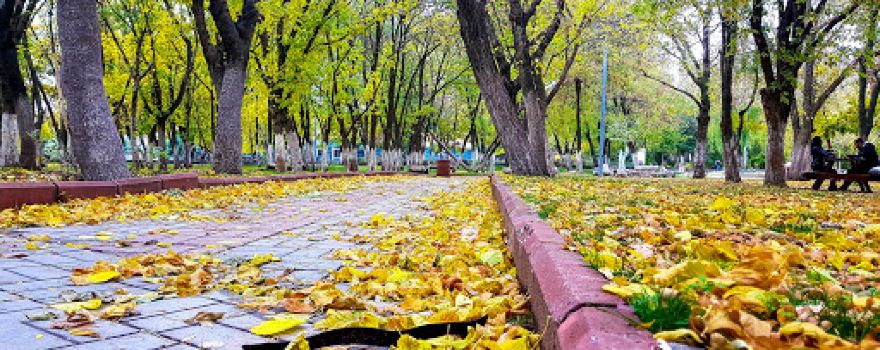 Silvan Belediyesi Parkı