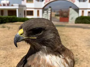 rancho la mesa