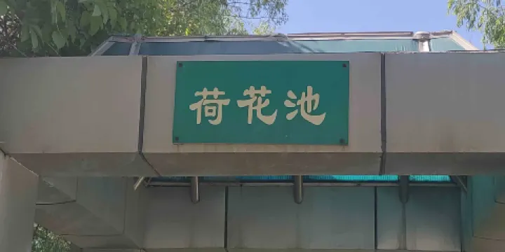 世紀園景區-荷花池