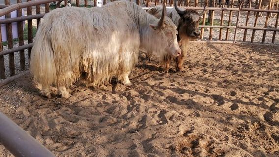 lu xiao sen qin zi le yuan