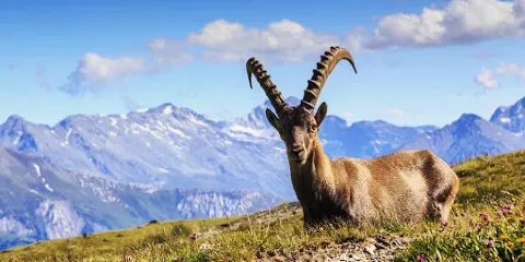 瓦娜色國家公園