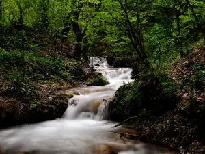 Leech Lake Nature Park
