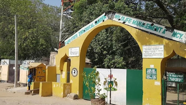 Kano Zoo