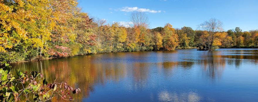 Hoffman Park