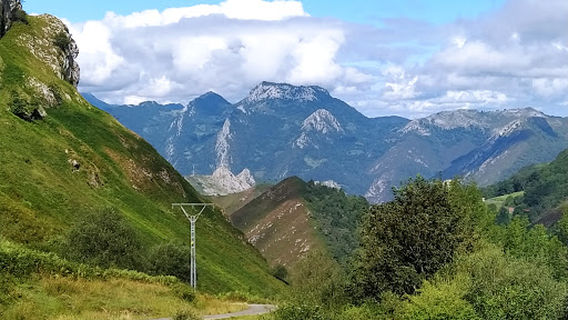 Amieva