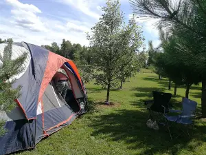 Bairds memorial campground