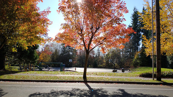 Stipek Park