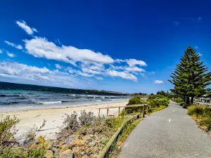 Tumby Bay Mangrove Boardwalk