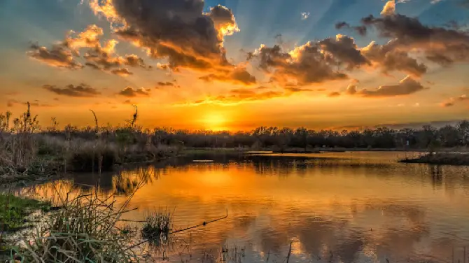 Seabourne Creek Nature Park