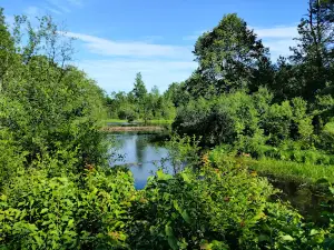 Murphy Flowage Co Park Ice Age Trail