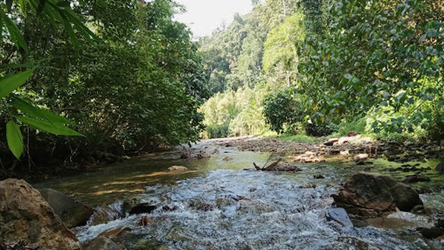 TAMAN GAUKAN BANTILAN