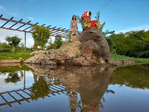 Parque Municipal do Jucá