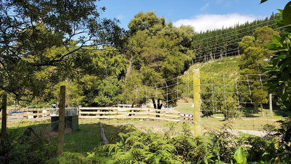 Wairakei Thermal Valley