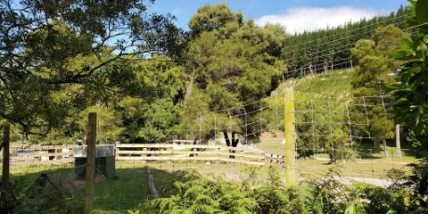Wairakei Natural Thermal Valley