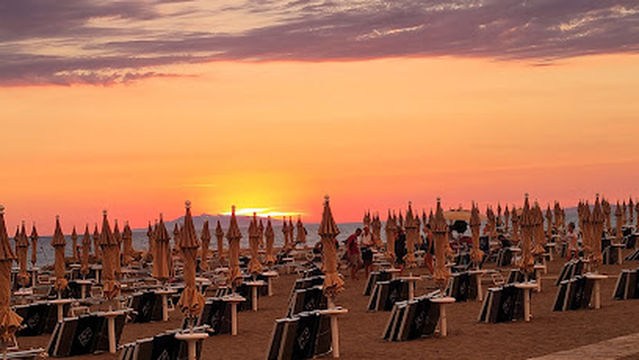 Etrusca Gallery / Salon