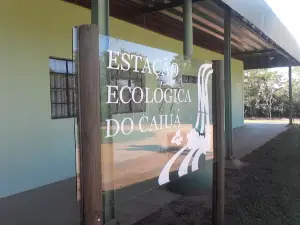 Estaçao Ecologica Caiua