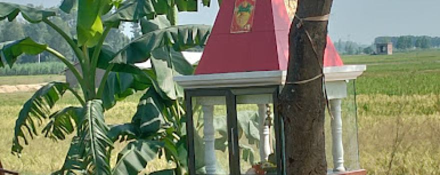 Shiva mandir