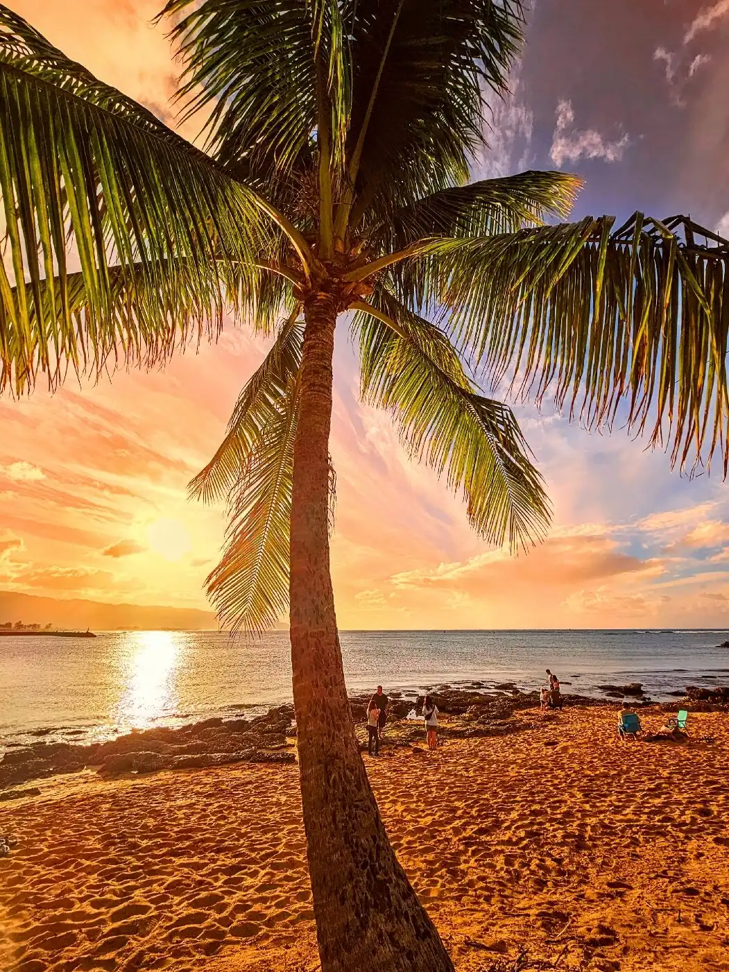 Haleiwa Beach Park 주변 호텔