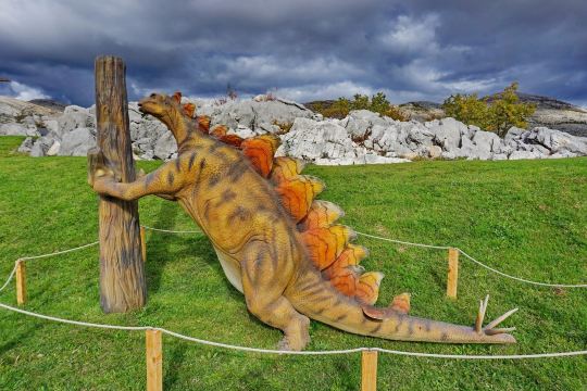 Grad Sunca - Water and Dino park