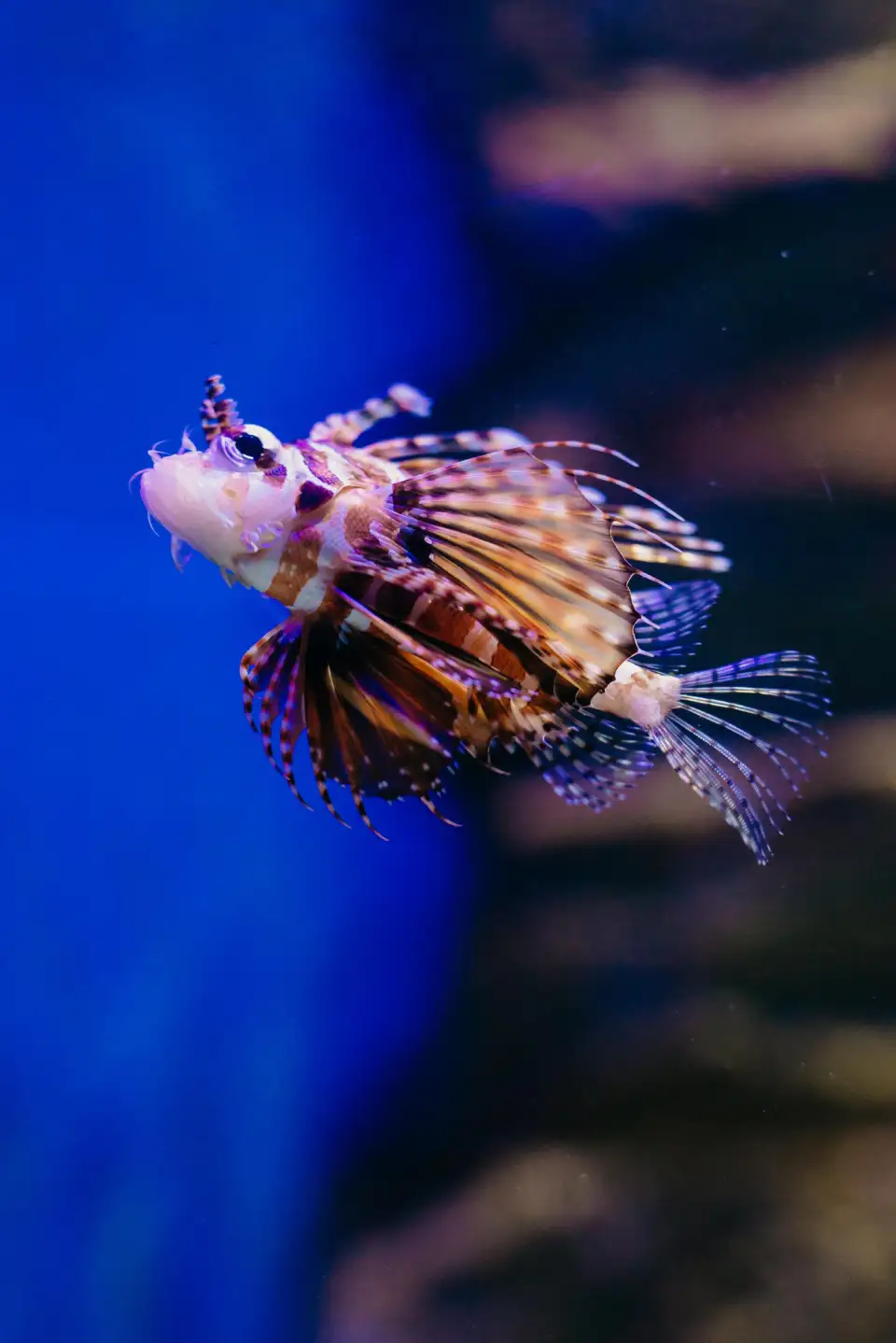 2_AquaRio
